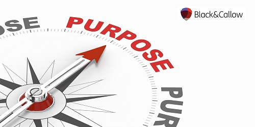 Purpose, Strategy and Business Model: how to articulate them to meet the 2024 UK Corporate Governance Code (Part 1)